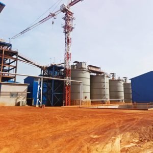 Gold Mine CIP Carbon-in-pulp