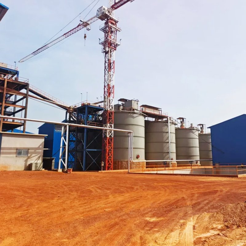 Gold Mine CIP Carbon-in-pulp